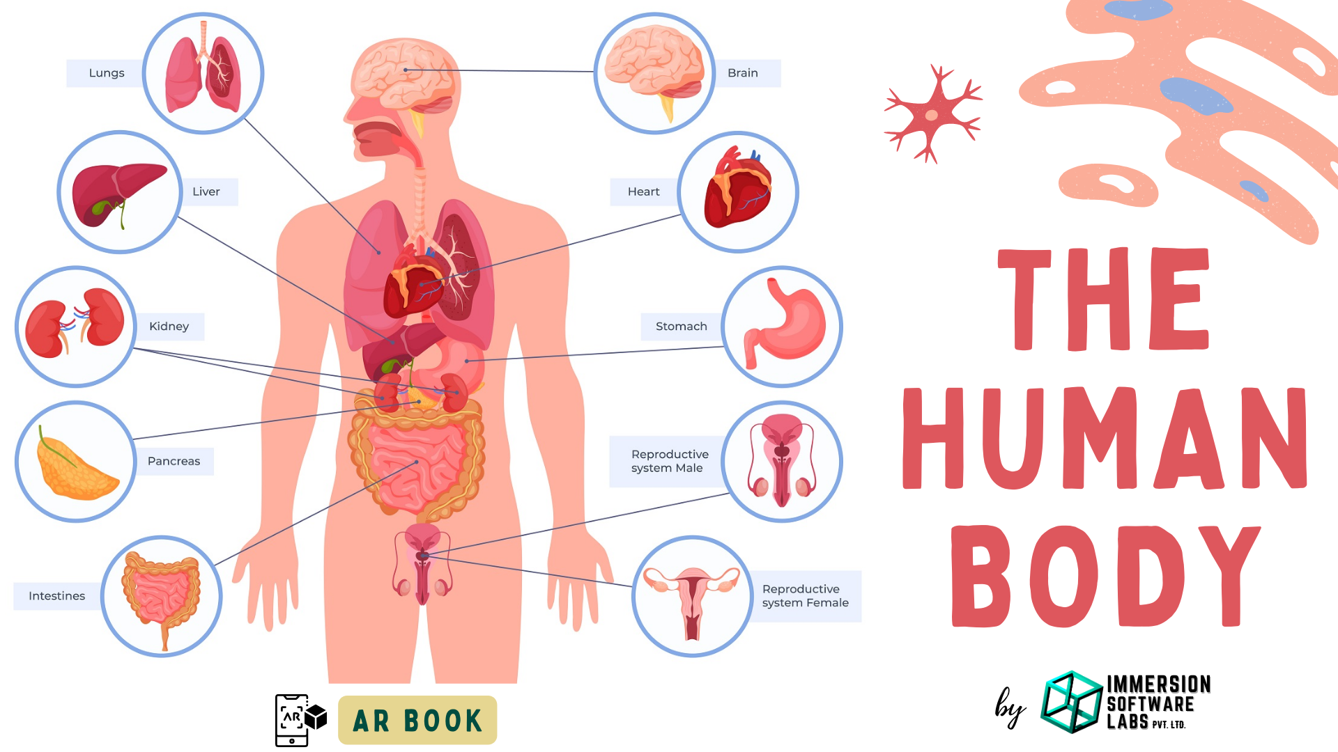 Biology TextBook